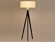 Modern Floor Lamp NL858
