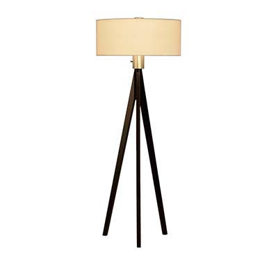 Modern Floor Lamp NL858