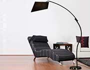 Elegant Black Floor Lamp NL717