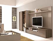 Modern TV Unit SJ221