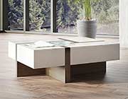 White and Walnut Coffee table VG Macai