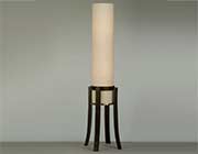 Modern Floor Lamp NL202