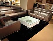 Modern Metallic Grey Leather sofa set