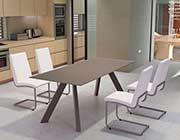 Modern Glass Table Z856