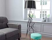 Modern Floor lamp Z157