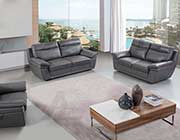 Gray Italian leather sofa set AEK 092