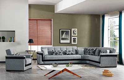 Bartlet Sectional sofa sleeper