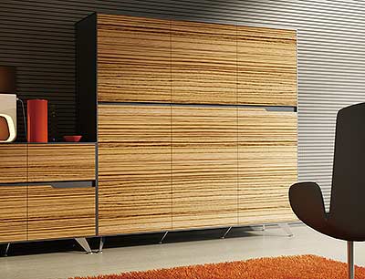 Zebrano Storage Cabinet 496 by Unique Furniture