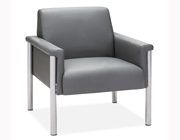 Contemporary Gray Sofa Z172