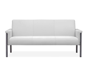 Contemporary Gray Sofa Z172