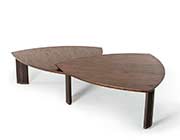 Modern Walnut Coffee table VG153