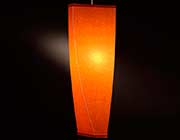 Modern Large Pendant Lamp RS48P