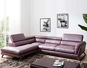 Premium Leather sectional NJ Wim