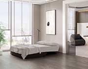 Contemporary Loveseat Bed Sommeil in Gray