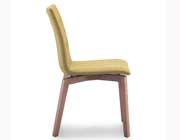 Modern Dining Chair Z070