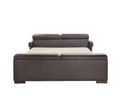 Modern Platform bed in Espresso Z216