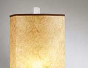 Contemporary Accent Lamp NL474