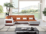 Modern Leather Sectional AA80