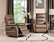 Grey Leather Recliner DS Ward