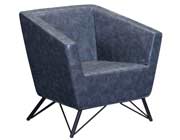 Modern Occasional Gray Chair Z504