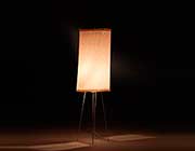 Modern Floor Lamp RS54