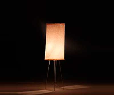 Modern Floor Lamp RS54