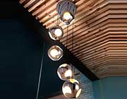 Modern Ceiling lamp Z102