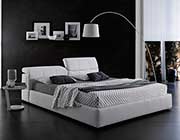 Modern Taupe Platform bed with Storage NJ087