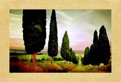 Wall Art Cypress Road, Siena by Jimmy Williams