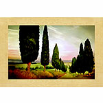 Wall Art Cypress Road, Siena by Jimmy Williams