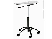 Michael White Lap Top Stand