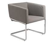 Modern Arm Chair EStyle 812 in Gray