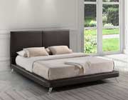 Modern Platform bed in Espresso Z220