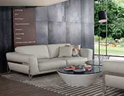 Modern Beige Leather Sofa set VG130
