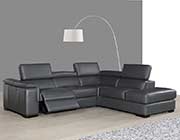 Premium Leather Sectional sofa with Power Recliner NJ Abena