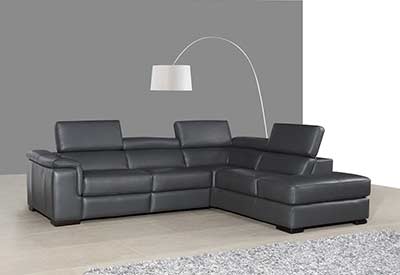 Premium Leather Sectional sofa with Power Recliner NJ Abena