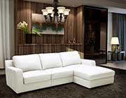 Modern Sectional sofa sleeper NJ Aletha