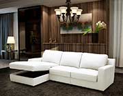 Modern Sectional sofa sleeper NJ Aletha