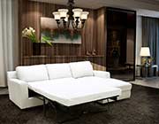 Modern Sectional sofa sleeper NJ Aletha