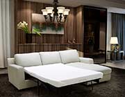 Modern Sectional sofa sleeper NJ Aletha