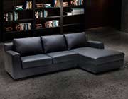 Modern Sectional sofa sleeper NJ Aletha