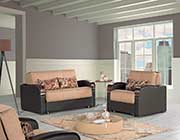 Chair Bed Sleeper in Gray