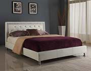 Black Chic Modern Bed W805