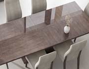 Modern Dining Collection EF 093