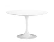 Modern Dining table Z172