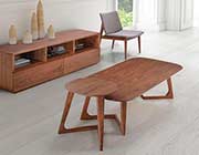 Modern Walnut TV Stand Z097