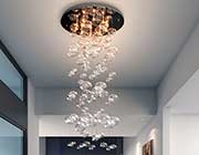 Modern Ceiling lamp Z115