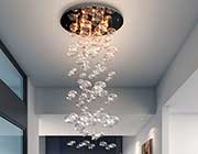 Modern Ceiling lamp Z115