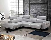 Light Gray Sectional sofa NJ 981