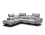 Light Gray Sectional sofa NJ 981